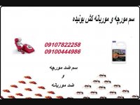 فروش سم مورچه و موریانه /با غلظت بالا و اثر گذاری سریع