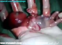 معجره خداوند