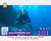 اسکوبا غواصی در کیش،غواصی آزاد،غواصی با لوازم حرفه ای،غواصی آبشور