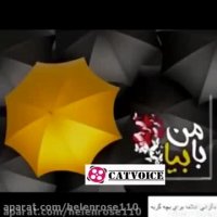 نگرانى علامه براى بچه گربه