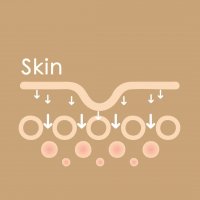 کرم مرطوب‌کننده‌ 24 ساعته پریم