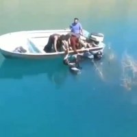 خودکشی جانسوز دو جوان دلداده پس از مخالفت خانواده با ازدواج آنان