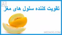 فواید سلامتی خربزه