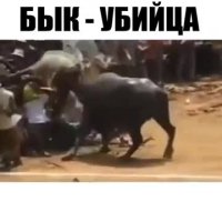 وحشتناک ترین اتفاقات ناگوار