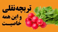 تربچه برای چه کسانی مفید و یا مضر هست؟