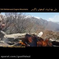 غذای بختیاری در کمفه