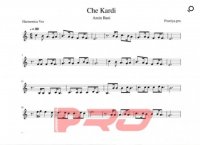 نت سازدهنی چه کردی امین بانی (هارمونیکا)