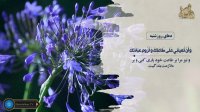دعای دلنشین روز شنبه با صدای حاج مهدی سماواتی