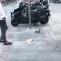 میخواست پرنده رو شوت کنه خودش شوت شد