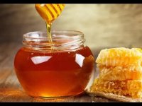 تولید انواع عسل