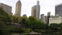 New York Time Lapse / Spring Morning in Central Park