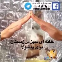 خانه ای سبز در زمستان برای پیشولا