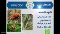 سم کنه کش بسیار قدرتمند انویدور | Envidor مهار کننده کنه های درختی