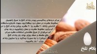 خواص غذایی و درمانی بادام تلخ-دانش تغذیه