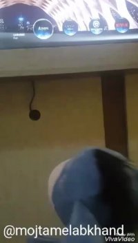 دندانپزشکی آپادانا (جیگر و کوپول)قسمت سوم