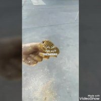 دستگاه مخمل پاش .با ولتاژ140