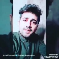 سجاد شیخ زاده . زمستون (اجرای زنده)