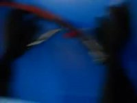 Damaged Cyclone Blast Cab Demo PARTS OR REPAIR WALKAROUND