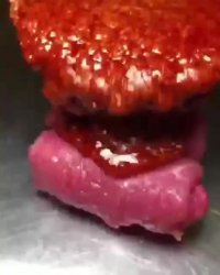 کباب پنیری درست کنیم