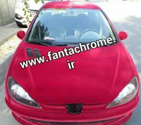 مخمل پاش/فروش دستگاه مخمل پاش/مخملپاش الکتروسیس ترک09125371393