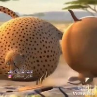 اگر حیوانات جنگل مثل ما ایرانی ها چاق  بود
چی اتفاقی می افتاد؟؟
