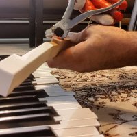 کوک پیانو 09125633895 استاد کوشا