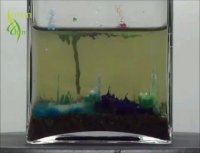 واکنش جالب محلول سیلیکات سدیم با سولفات مس کلرید مس آلومینیوم سولفات پتاسیم سولفات آهن سولفات کبالت و کلرید نیکل