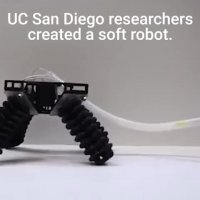 ربات بی نظیر " spiderbot "