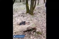 نمایش قدرت فوق العاده ماشین کنترلی حرفه ای wltoys 12428 در پرش از موانع