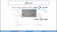 جلسه 56 فیزیک دهم - نیروهای بین مولکولی 3 - مدرس محمد پوررضا