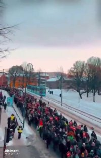 حمایت از فلسطین در دمای 8- اسلو پایتخت نروژ