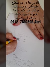 خدمات و آموزش اکادمیک و تخصصی میکروبلیدینگ  09121780259 Abri