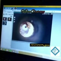 داخل گوشتونو دیدین؟؟