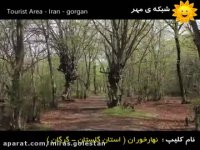 جنگل ناهارخوران گرگان