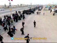نماهنگ حب الحسین یجمعنا