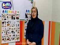 مهد کودک : آموزش انواع حیوانات(اهلی و وحشی)