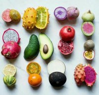 دستگاه خشک کن میوه و سبزیجات