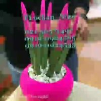 مخمل پاش//دستگاه مخمل پاش02156571497