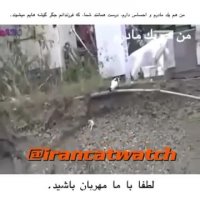 من هم یك مادرم