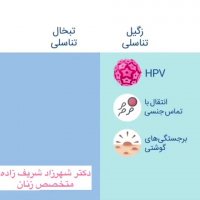 فیلم تفاوت تبخال تناسلی و زگیل تناسلی