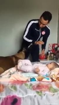 محافظت دیدنی سگ از نوزاد