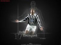 یک گل به یادماندنی