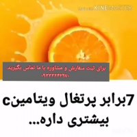 آیا میدانید خواص گانودرما چیست و برای چند نوع بیماری مفید است؟