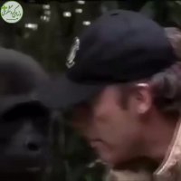 ابراز محبت حیوانات وحشی به انسان