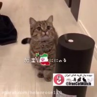 بازی پیشى با بخار آب