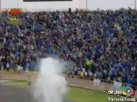 گل زیبا از جانواریو