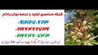 لیست قیمت ارقام بادام 09121270623