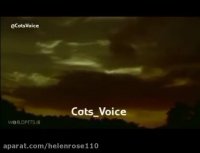 ویدیویى زیبا از ببر و محافظان - كیفیت عالى