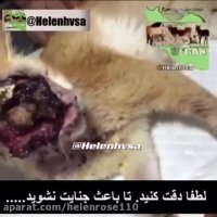 لطفا دقت كنید. تا باعث جنایت و مرگ نشوید.....