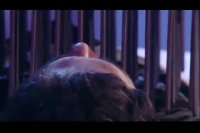 ثبت رکورد جالب